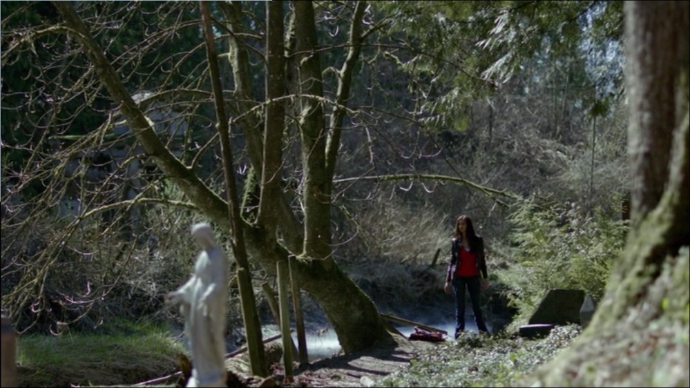 Click to view full size image
==============
00372.jpg 00372.jpg