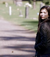 Filename=00239.jpg
Filesize=115KiB
Dimensions=1366x768
Date added=Jul 01, 2012 00239.jpg